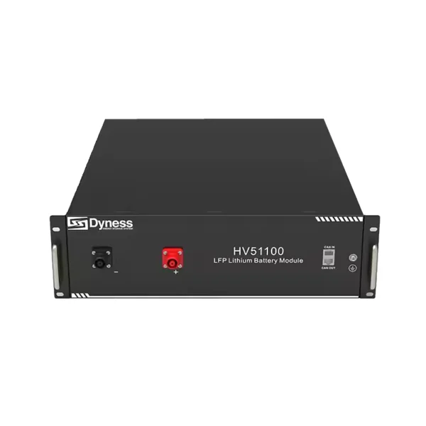 Battery Dyness HV51100 (LiFePO4 51.2V 100Ah 5.12 kWh) (2)